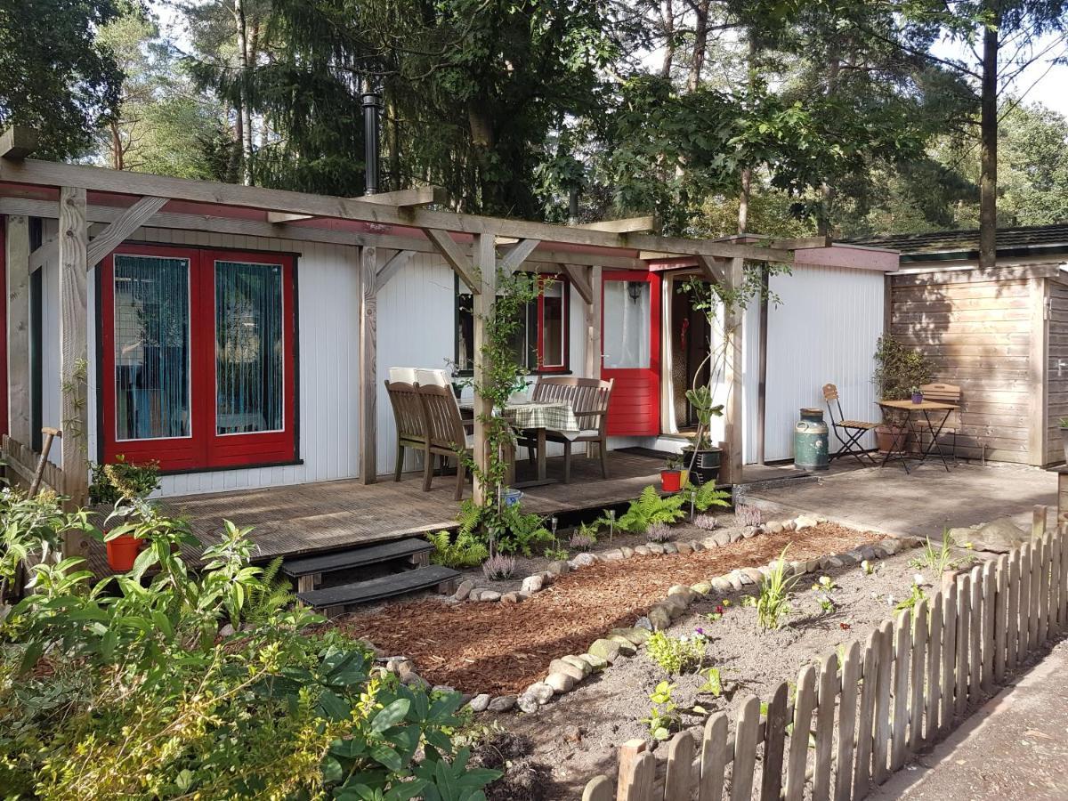 Gezellig Chalet Op De Veluwe Doornspijk Exterior foto